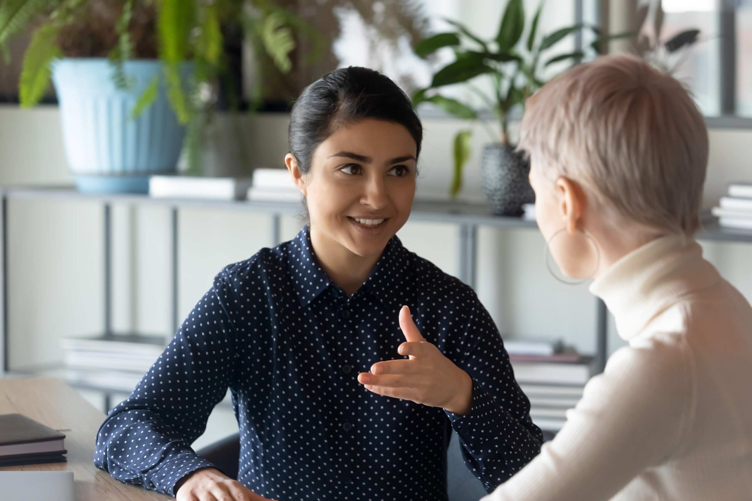 business development consultant